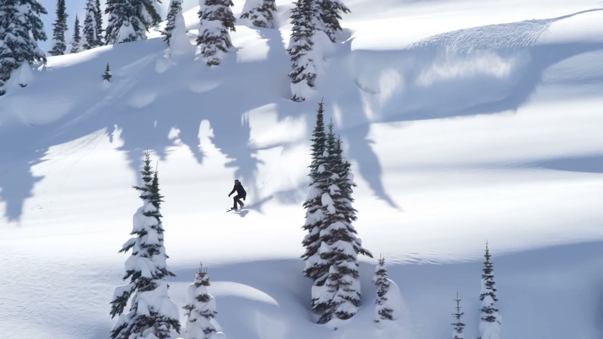 A snowboarder carving down a sunlit slope between snowy pines